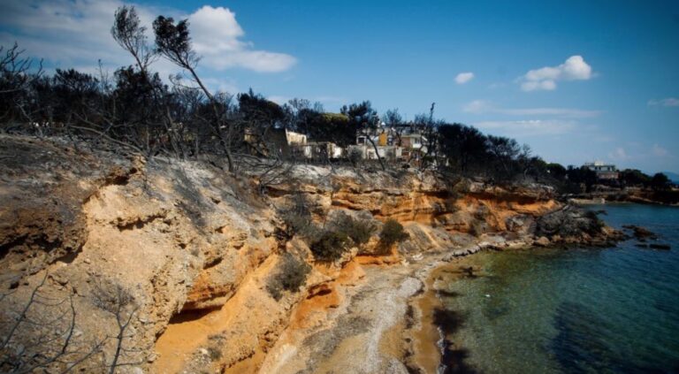 «Δασική έκταση που καταπατήθηκε το οικόπεδο που πέθαναν οι 27»