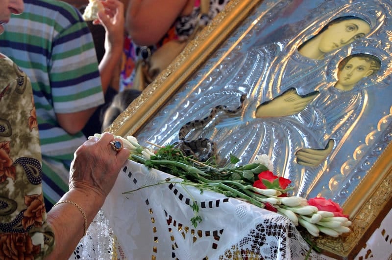 Πρωτοεμφανίστηκαν πριν περίπου 470 χρόνια