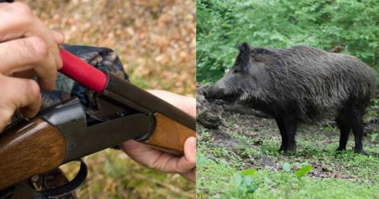 Τραγωδία στη Φθιώτιδα: Πέρασε τον κουνιάδο του για αγριογούρουνο και τον σκότωσε