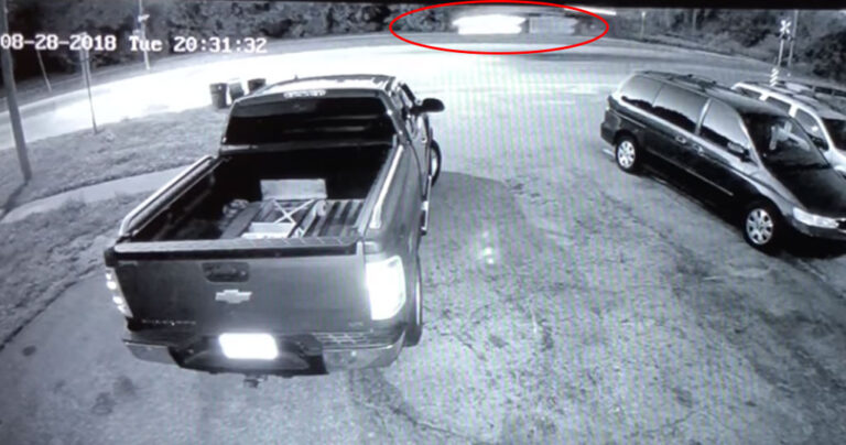 Οδηγός Tesla χάνει τον έλεγχο και το αυτοκίνητο απογειώνεται στην κυριολεξία