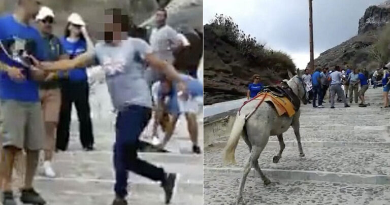 Σαντορίνη: Ιδιοκτήτες γαϊδουριών έδειραν ακτιβιστές