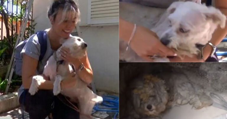 Παγκόσμια συγκίνηση για τον Λουκουμάκη που σώθηκε από τη φονική φωτιά στο Μάτι