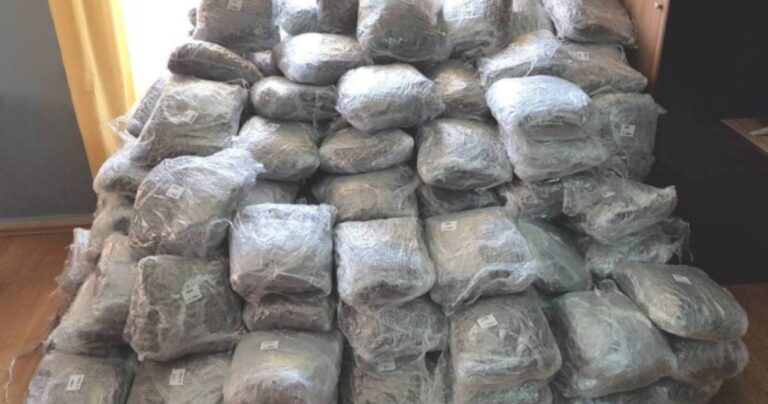 Αλεξανδρούπολη: 76χρονος παππούς είχε 263 κιλά φούντα