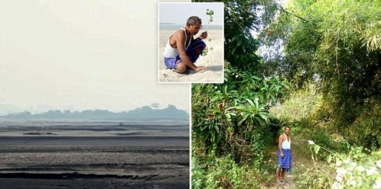 Φύτευε σ’ ένα ερημονήσι κάθε μέρα από το 1979 ένα δέντρο – Δείτε το αποτέλεσμα