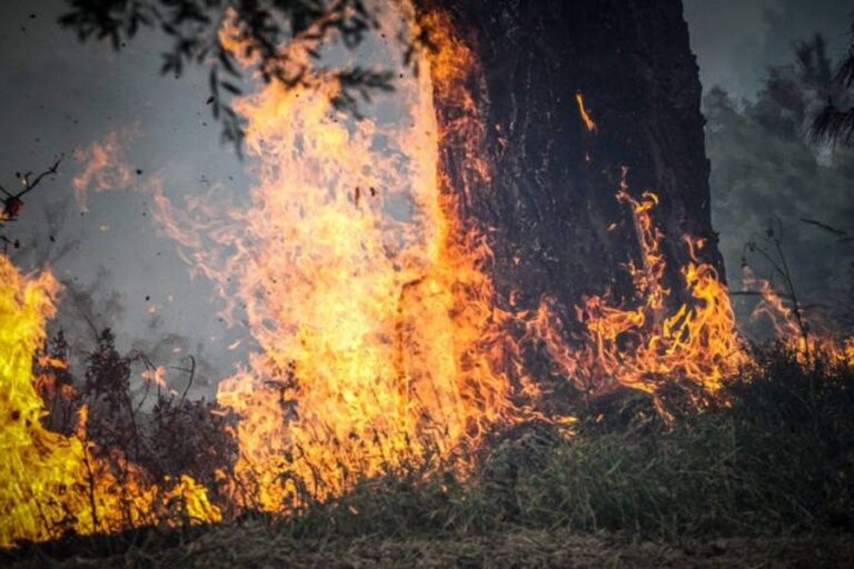 Προκαλεί ο 35χρονος εμπρηστής: «Ήθελα να βλέπω τους πυροσβέστες να τρέχουν να σβήσουν τις φωτιές»