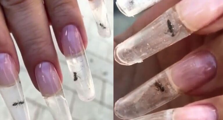 Ζωντανά μυρμήγκια παγιδευμένα μέσα σε νύχια μανικιούρ είναι η νέα ενοχλητική μόδα