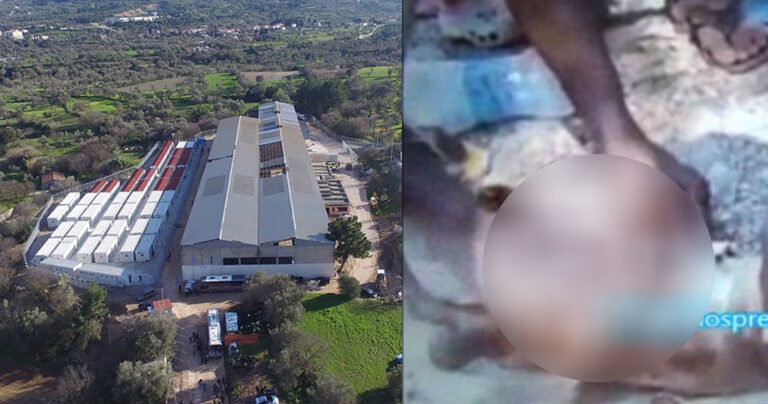 Χιος: Αφρικανοί μετανάστες στη ΒΙΑΛ έψησαν και έφαγαν γάτα