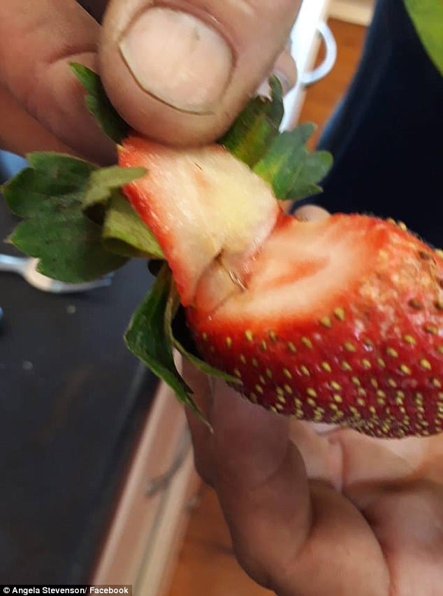 501a5bf800000578 6174991 hoani hearne 21 also found a needle inside a strawberry after bu a 15 1537161248365
