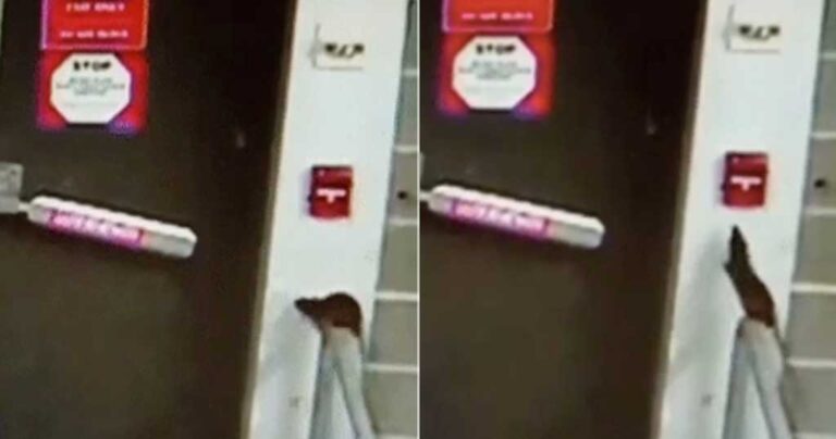 Ποντίκι κατεβάζει τον διακόπτη συναγερμού φωτιάς σε πολυκατοικία