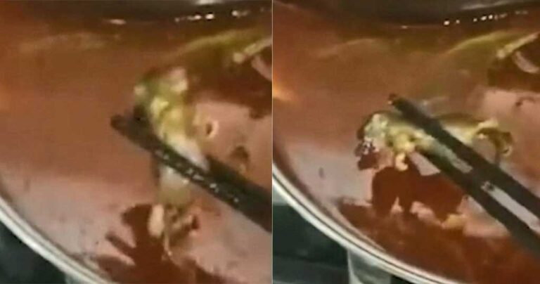 Κίνα: Έγκυος γυναίκα βρήκε νεκρό αρουραίο στην σούπα της σε διάσημο εστιατόριο