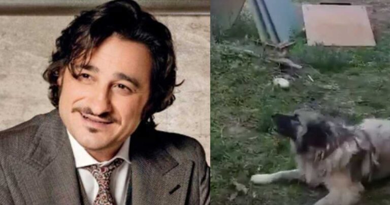 Χαραλαμπόπουλος: Βρήκε τον σκύλο του μετά από 2,5 χρόνια και ανέβασε ένα συγκινητικό βίντεο