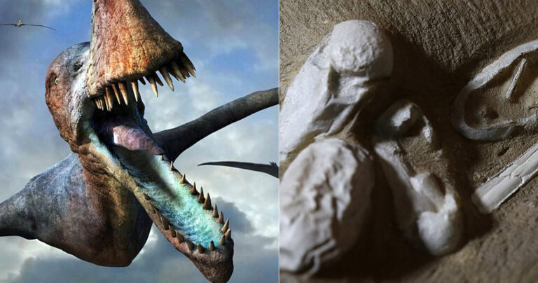 Βρέθηκαν 215 αβγά πτεροσαύρων και κάποια έχουν έμβρυο