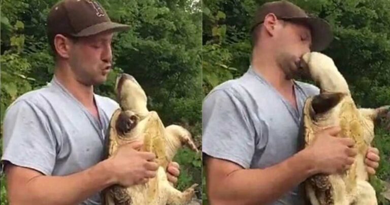 Πήγε να φιλήσει τη χελώνα και το πλήρωσε ακριβά