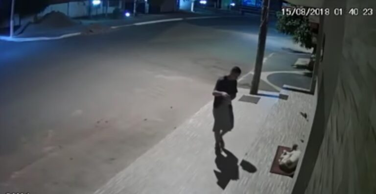 Συγκινεί η πράξη ενός άνδρα: Σκέπασε αδέσποτο σκύλο στον δρόμο