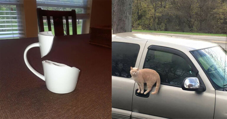 25 φωτογραφίες που αψηφούν την βαρύτητα και θα σας κάνουν να κοιτάξετε δυο φορές