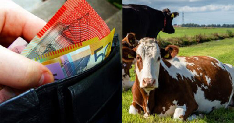 Τα χαρτονομίσματα φτιάχνονται από ζώα και οι χορτοφάγοι έχουν φρικάρει