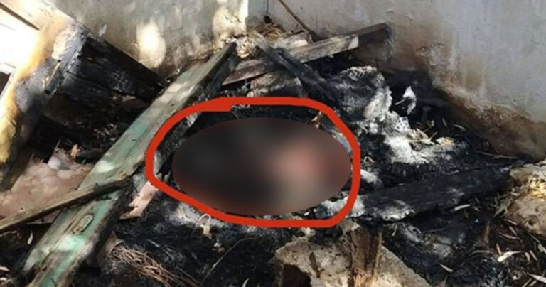 Kρήτη: Έκαψαν ζωντανό σκυλί μέσα στο σπιτάκι του