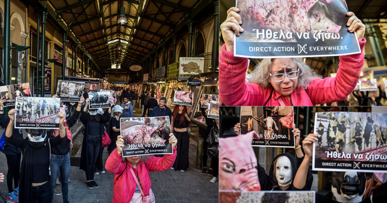 Χορτοφάγοι με μάσκες αρνιών και γουρουνιών έκαναν «ντου» στη Βαρβάκειο αγορά