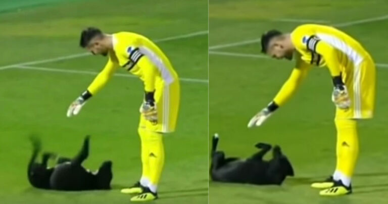 Αδέσποτος σκύλος μπήκε σε αγώνα για να κάνει χαδάκια με τον τερματοφύλακα