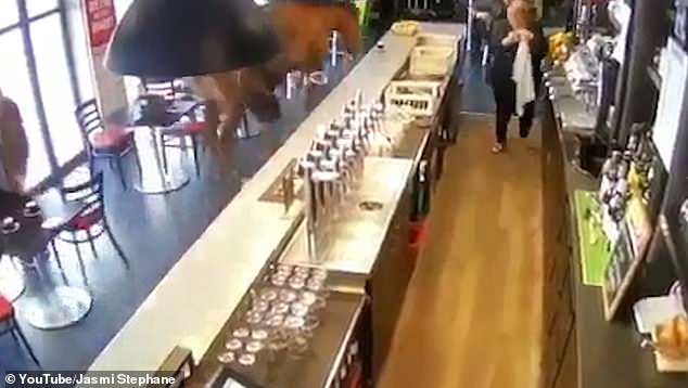 4661104 6226239 image a 2 1538382925727