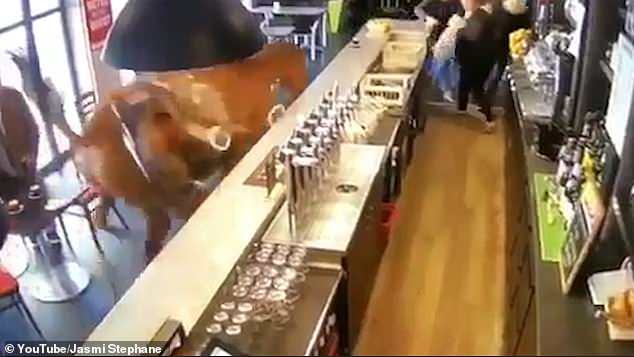 4661106 6226239 image a 4 1538382945435