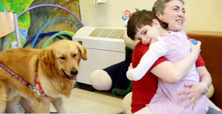 Θεσσαλονίκη: Το 424 Στρατιωτικό Νοσοκομείο είναι το μοναδικό που εφαρμόζει θεραπεία μέσω σκύλων