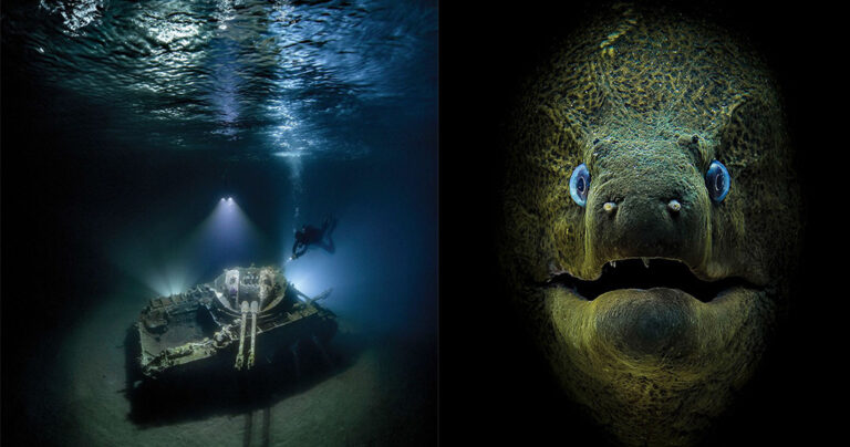 Οι καλύτερες φωτογραφίες του διαγωνισμού υποβρύχιων φωτογραφιών 2018