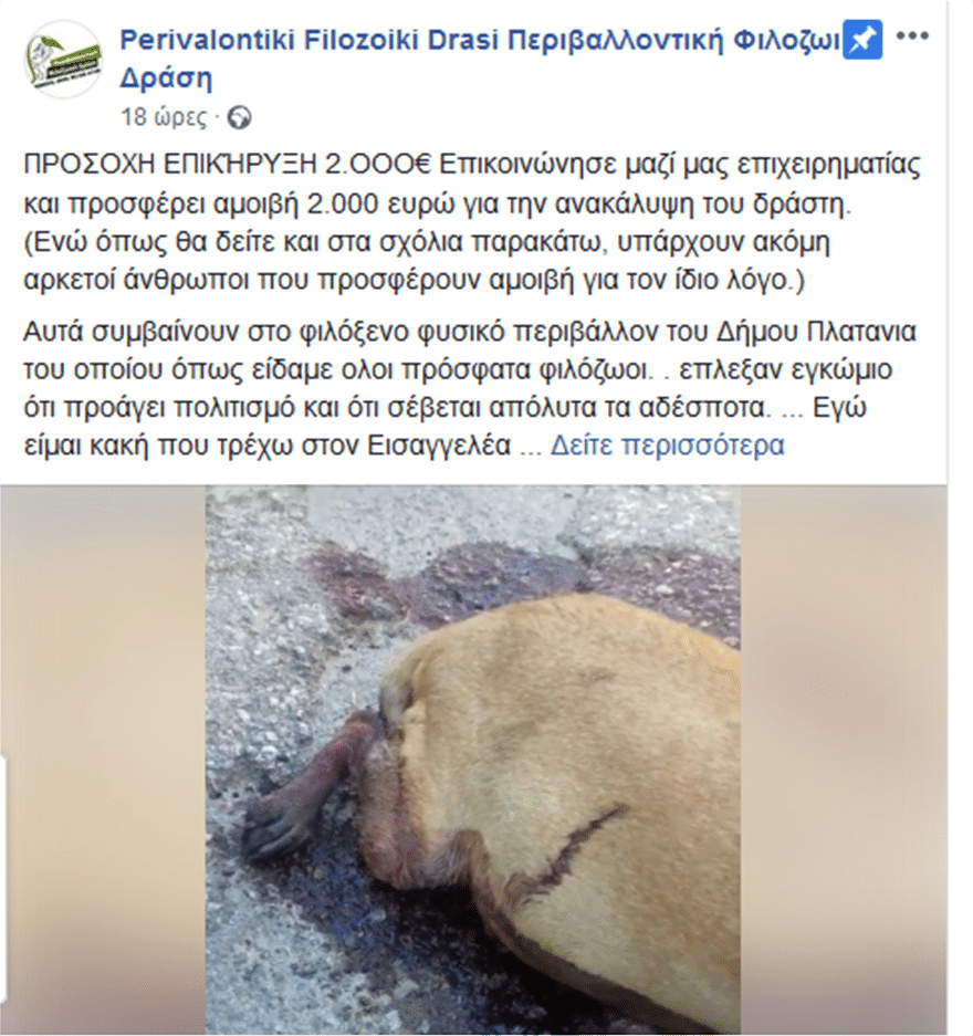 Κρήτη: 2000 ευρώ για να βρεθεί ο υπάνθρωπος που πυροβόλησε και σκότωσε έγκυο σκυλίτσα 1 fa0f7dabd0c0eddaf59b95bb86efad24
