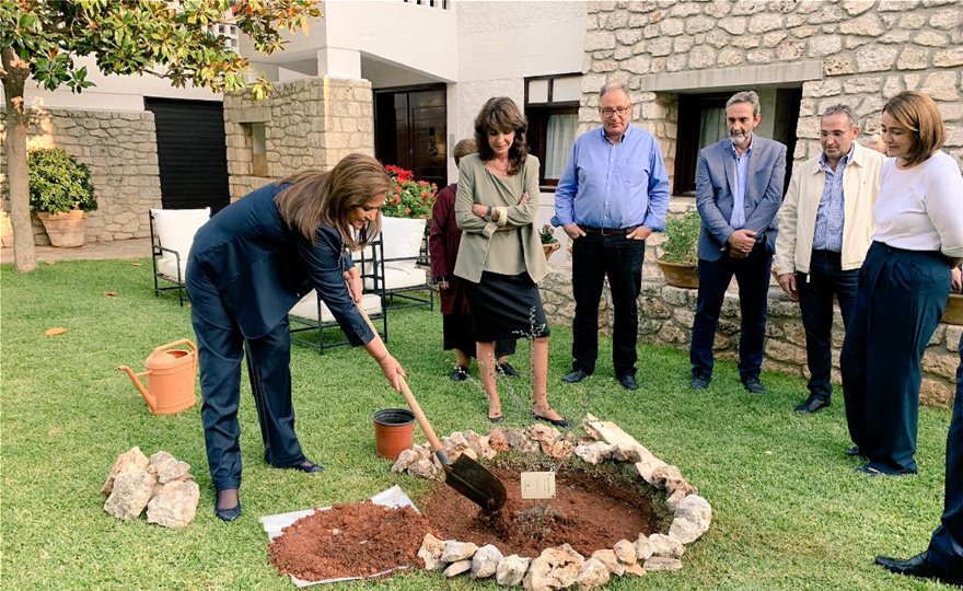 Μια αμπελιτσιά φύτεψε στη μνήμη του Κωνσταντίνου πρωθυπουργού η οικογένεια Μητσοτάκη 1 ntora-1