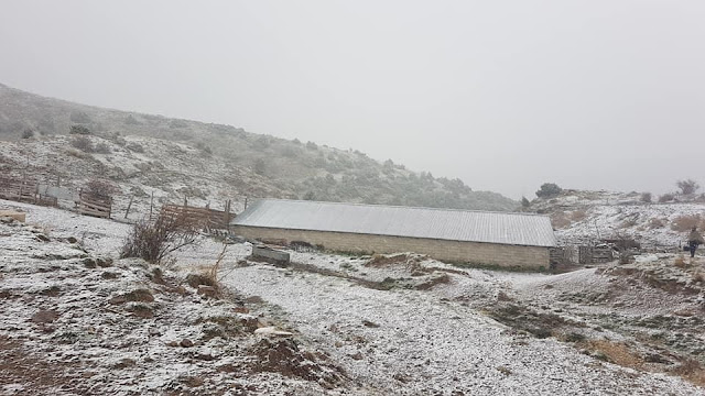 Έπεσαν τα πρώτα χιόνια σε Τρίκαλα και Γιάννενα 7 46439084 2228041350784320 8415464267293130752 n