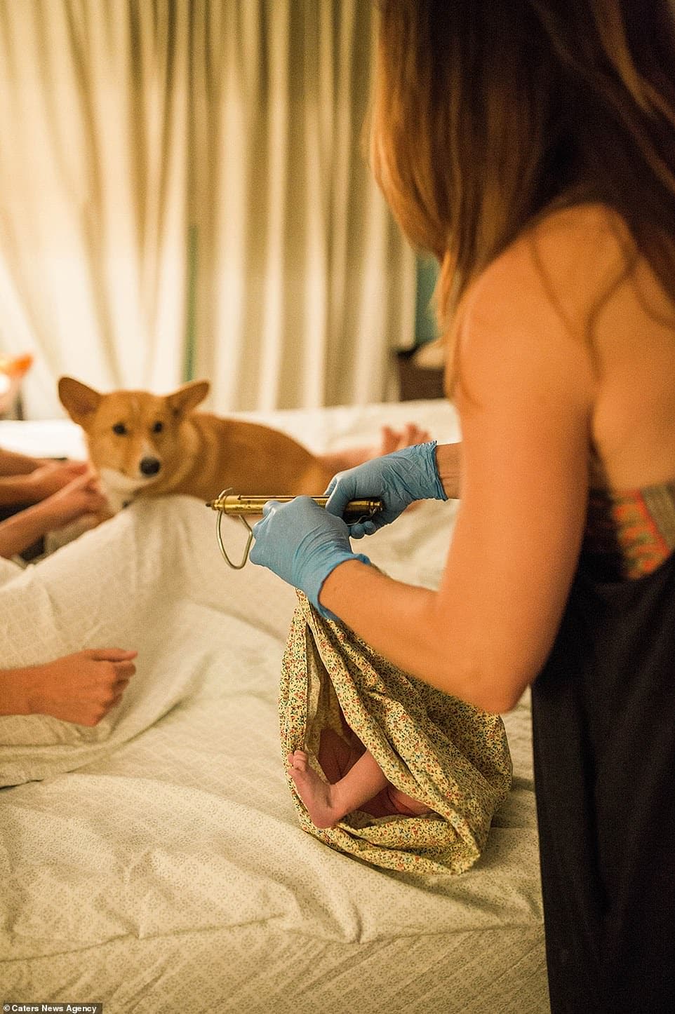 5781402 6353857 ranger is curious and excited as he watches the baby being weigh a 40 1541420947371