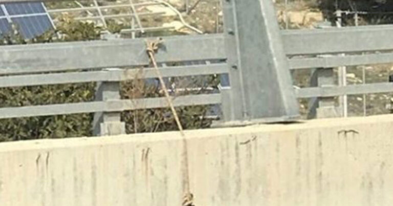 Κρήτη: Κρέμασαν με σκοινί σκύλο σε γέφυρα σε καινούριο δρόμο