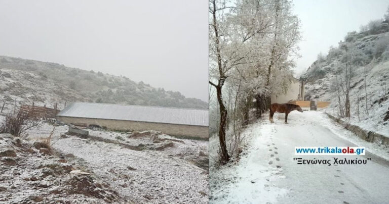 Έπεσαν τα πρώτα χιόνια σε Τρίκαλα και Γιάννενα