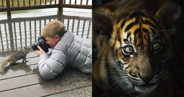 Ο 14χρονος γιος του Στιβ Ίργουιν είναι ένας βραβευμένος φωτογράφος