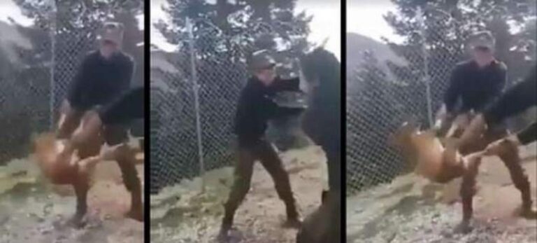 Στο στρατοδικείο οι δύο φαντάροι που πέταξαν σκυλίτσα σε γκρεμό στην Κόνιτσα