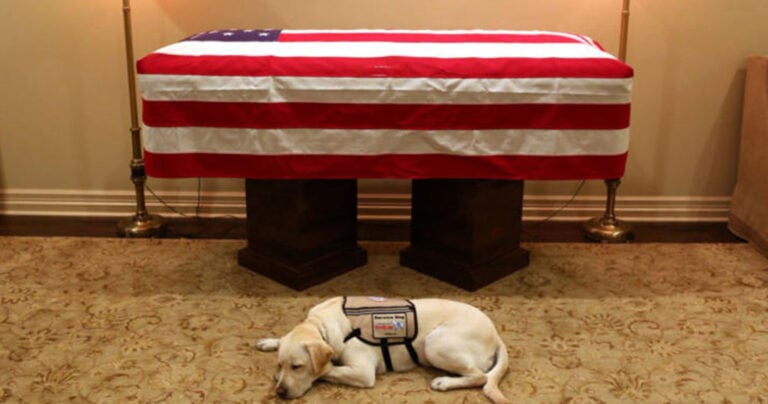Πιστός ως το τέλος: Η συγκινητική φωτογραφία από το φέρετρο του 41ου προέδρου των ΗΠΑ