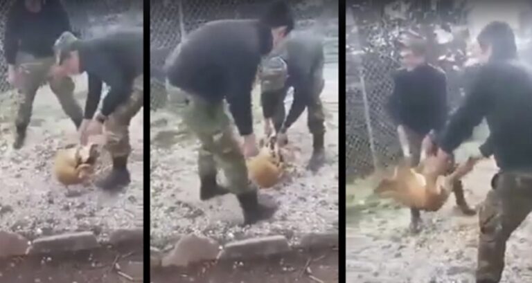Kαταδικάστηκαν  σε 10 μήνες φυλακή οι φαντάροι  που είχαν κακοποιήσει σκύλο στην Κόνιτσα