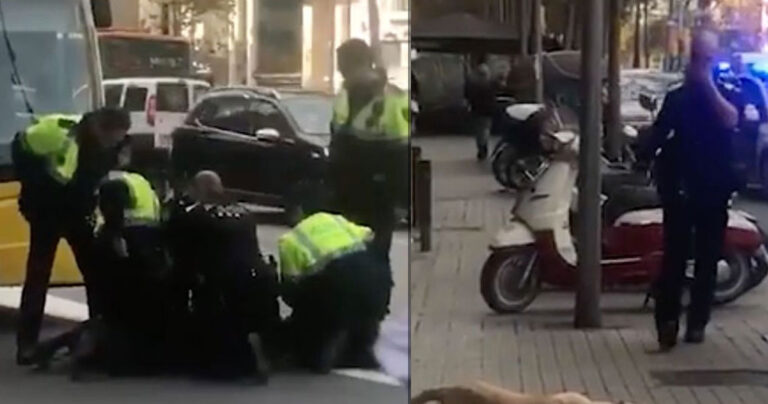 Ισπανία: Η αστυνομία συνέλαβε άστεγο, αφού πρώτα σκότωσε τον σκύλο του