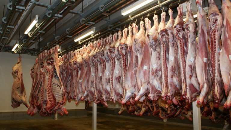 Ο ΟΗΕ προτρέπει σε παγκόσμιο κίνημα διατροφής χωρίς κρέας και γαλακτοκομικά