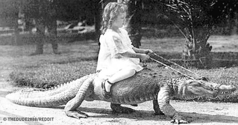 15 παράξενα ζώα που άνθρωποι τόλμησαν να κρατήσουν ως κατοικίδια