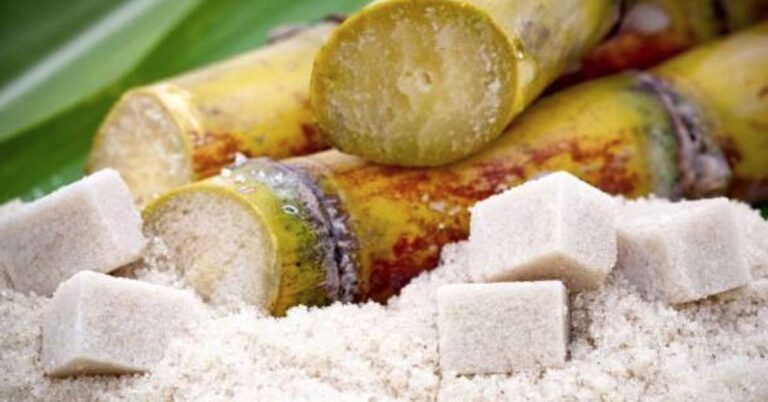 Καταπληκτικό βίντεο που δείχνει πώς η ζάχαρη καταστρέφει τον οργανισμό