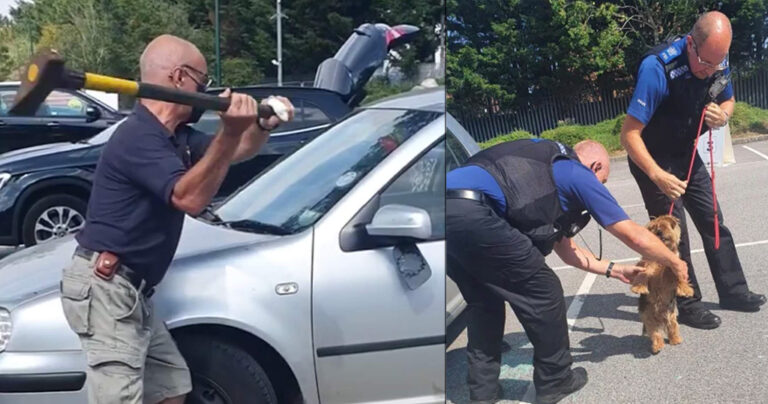 Άντρας σπάει αμάξι με τσεκούρι για να σώσει σκυλί που πέθαινε από τη ζέστη