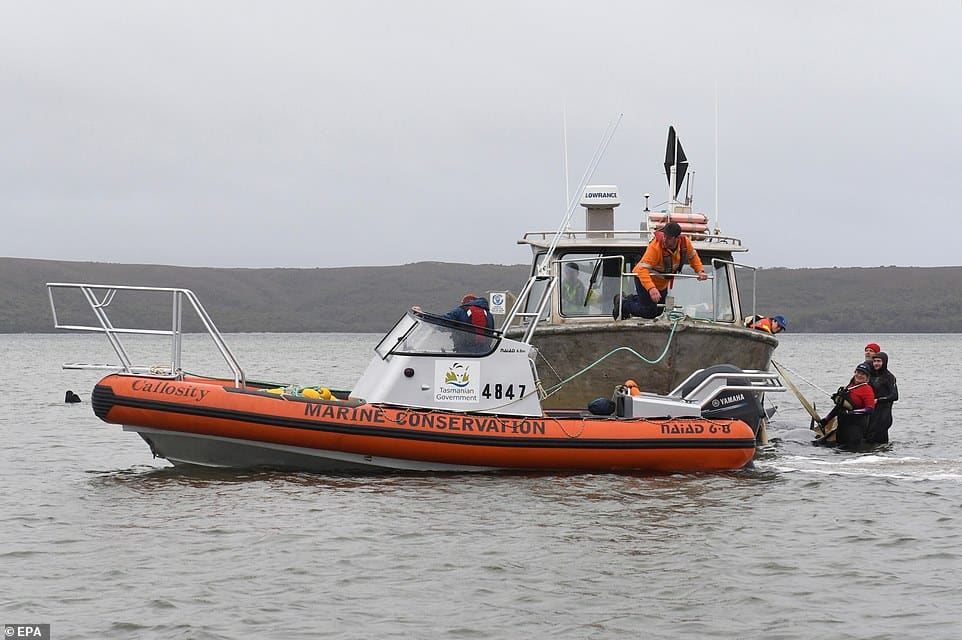 33474710 8766729 rescue workers are towed out to sea as they battle cold temperat a 46 1600914053719