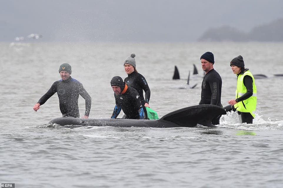 33474712 8766729 rescue workers in thermal wetsuits to prevent hypothermia work t a 44 1600914053437