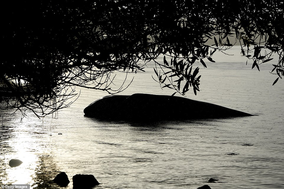33554304 8766729 image a 61 1600914550870