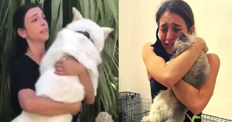 Βηρυτός: Κάτοικοι συναντούν τα χαμένα κατοικίδιά τους ένα μήνα μετά την καταστροφική έκρηξη