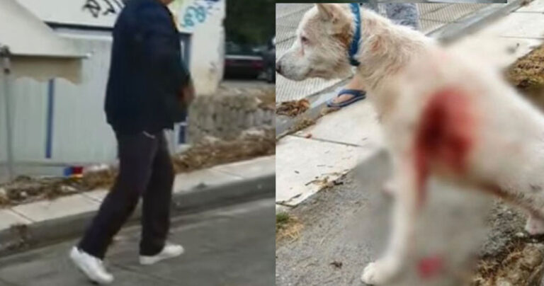 Αυτός είναι ο καθηγητής που μαχαίρωσε τον σκύλο στη Νίκαια