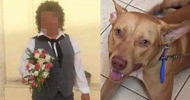 Πρόστιμο 30.000 ευρώ στον 55χρονο που βασάνισε σκύλο στα Χανιά