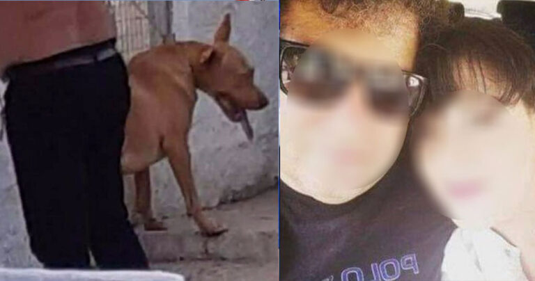 Κρήτη: «Ήθελα να τον στειρώσω», είπε ο άνδρας που βασάνισε φριχτά τον σκύλο