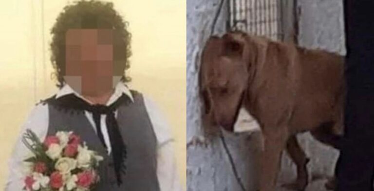 Κρητικός βασανιστής σκύλου: «Το έκανα για να ηρεμήσει το σκυλί»